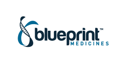 BLUEPRINT